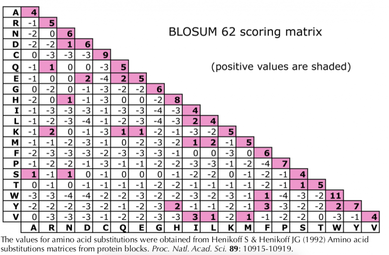 File:BLOSUM62 MATRIX.png